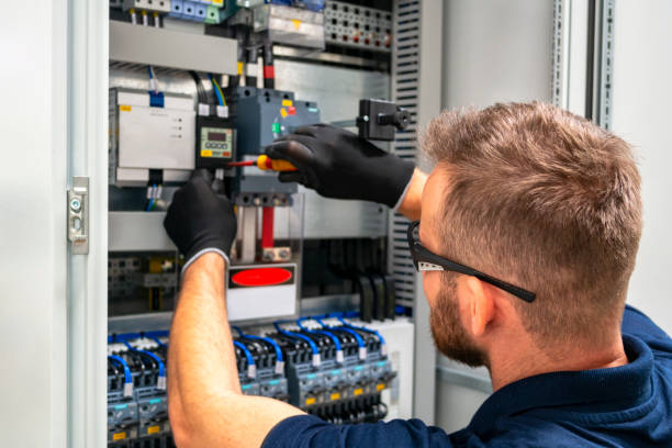 Best Electrical System Inspection  in Howard City, MI