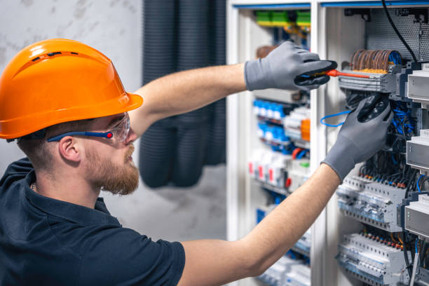 Best Electrical System Inspection  in Howard City, MI